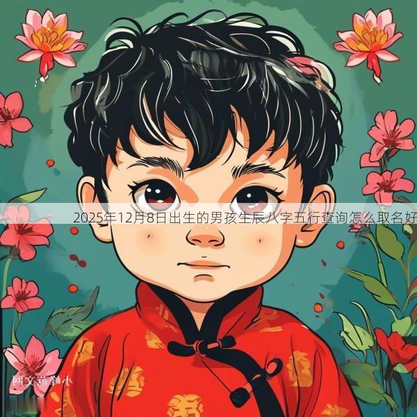 2025年12月8日出生的男孩生辰八字五行查询怎么取名好