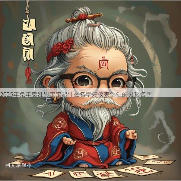 2025年免年袁姓男宝宝起什么名字好仪表堂堂的男孩名字