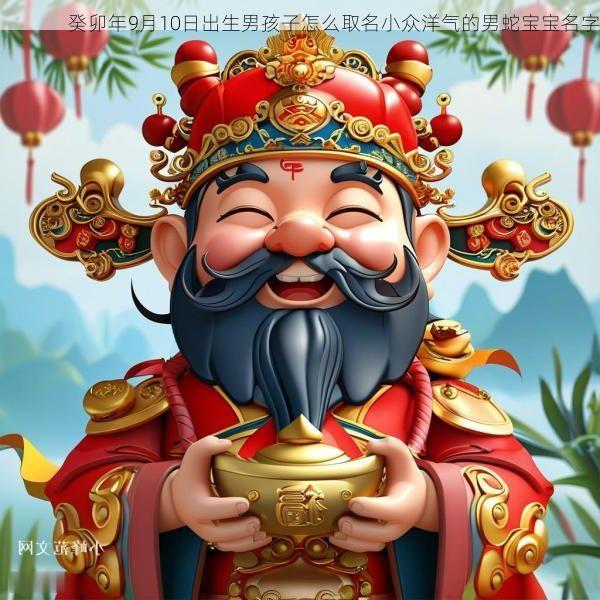 癸卯年9月10日出生男孩子怎么取名小众洋气的男蛇宝宝名字