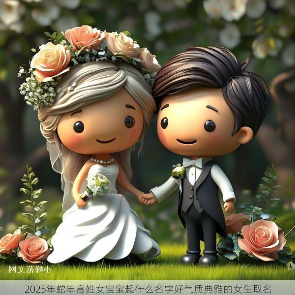 2025年蛇年高姓女宝宝起什么名字好气质典雅的女生取名