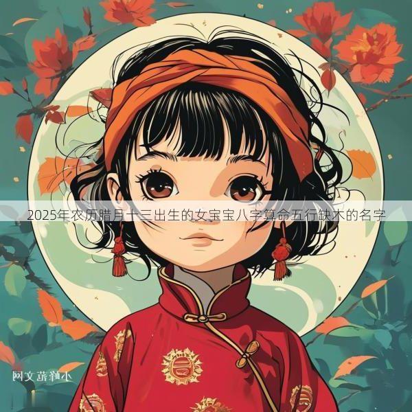 2025年农历腊月十三出生的女宝宝八字算命五行缺木的名字