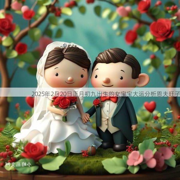 2025年2月20日正月初九出生的女宝宝大运分析恩夫旺子