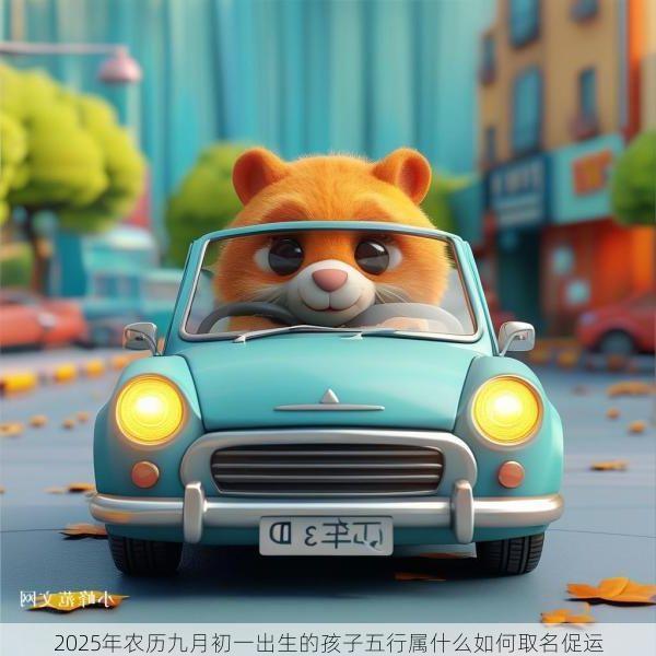 2025年农历九月初一出生的孩子五行属什么如何取名促运