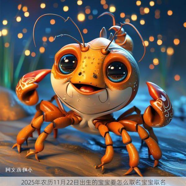 2025年农历11月22日出生的宝宝要怎么取名宝宝取名
