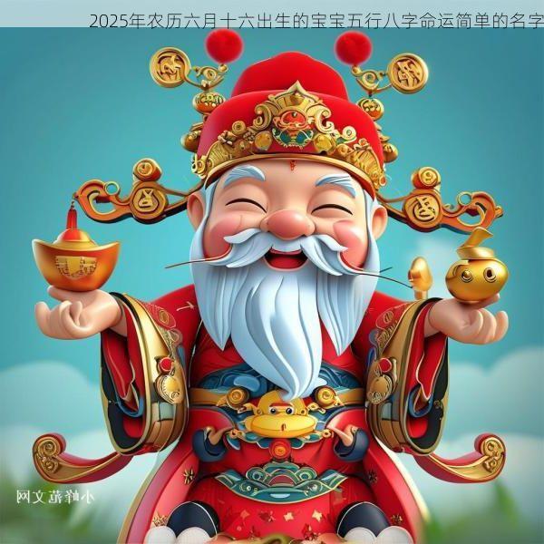2025年农历六月十六出生的宝宝五行八字命运简单的名字