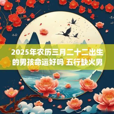 2025年农历三月二十二出生的男孩命运好吗 五行缺火男孩名字