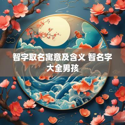 智字取名寓意及含义 智名字大全男孩