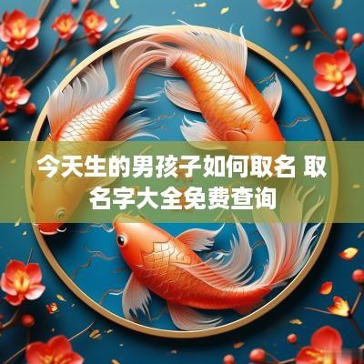 今天生的男孩子如何取名 取名字大全免费查询