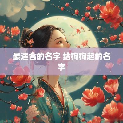 最适合的名字 给狗狗起的名字