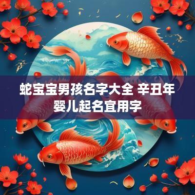 蛇宝宝男孩名字大全 辛丑年婴儿起名宜用字