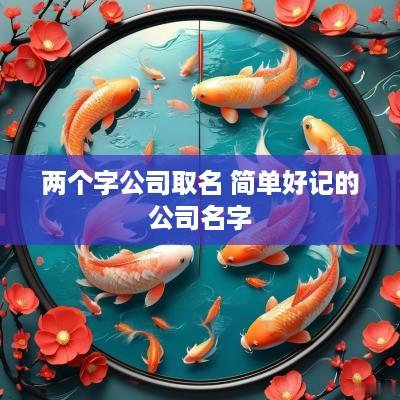 两个字公司取名 简单好记的公司名字