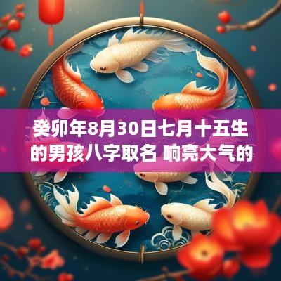 癸卯年8月30日七月十五生的男孩八字取名 响亮大气的名字