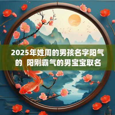2025年姓周的男孩名字阳气的  阳刚霸气的男宝宝取名