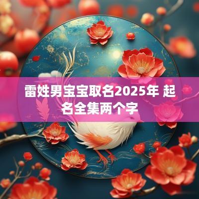 雷姓男宝宝取名2025年 起名全集两个字