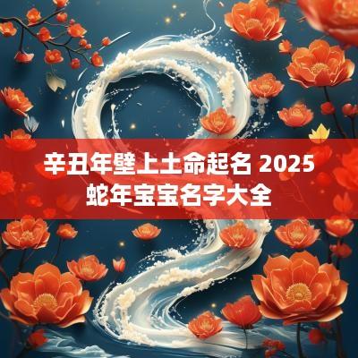 辛丑年壁上土命起名 2025蛇年宝宝名字大全