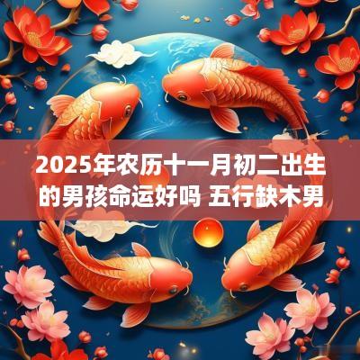 2025年农历十一月初二出生的男孩命运好吗 五行缺木男孩名字