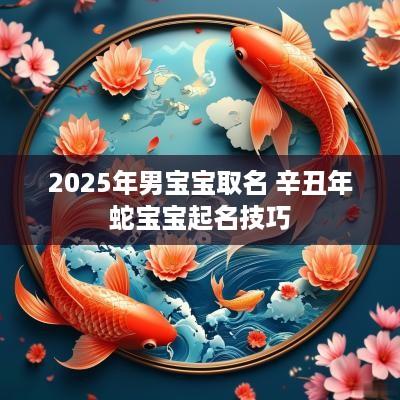 2025年男宝宝取名 辛丑年蛇宝宝起名技巧