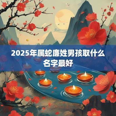 2025年属蛇廉姓男孩取什么名字最好
