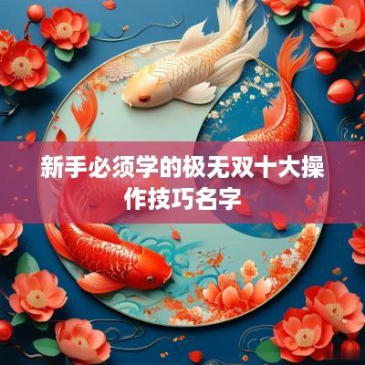 新手必须学的极无双十大操作技巧名字