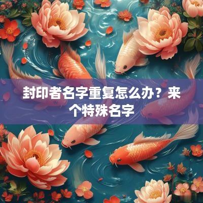 封印者名字重复怎么办？来个特殊名字