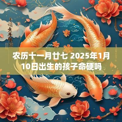 农历十一月廿七 2025年1月10日出生的孩子命硬吗