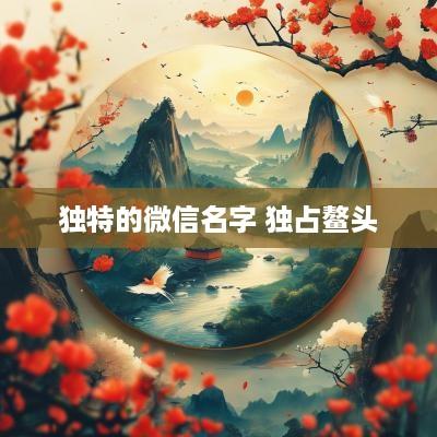 独特的微信名字 独占鳌头