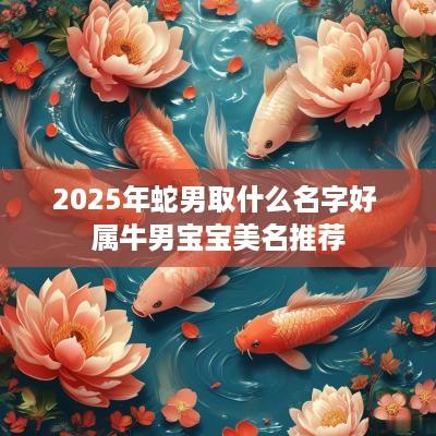 2025年蛇男取什么名字好 属牛男宝宝美名推荐