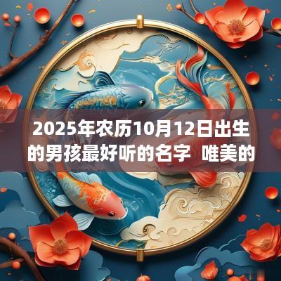 2025年农历10月12日出生的男孩最好听的名字  唯美的男名大全
