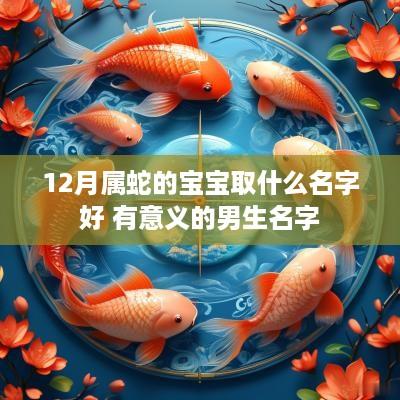 12月属蛇的宝宝取什么名字好 有意义的男生名字