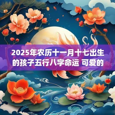 2025年农历十一月十七出生的孩子五行八字命运 可爱的名字