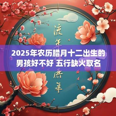 2025年农历腊月十二出生的男孩好不好 五行缺火取名