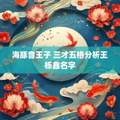 海豚音王子 三才五格分析王栎鑫名字