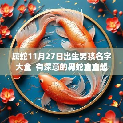 属蛇11月27日出生男孩名字大全  有深意的男蛇宝宝起名