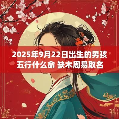 2025年9月22日出生的男孩五行什么命 缺木周易取名