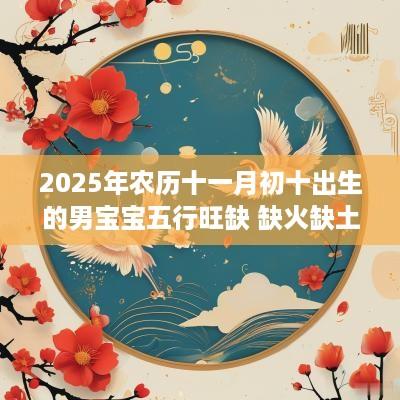2025年农历十一月初十出生的男宝宝五行旺缺 缺火缺土起名