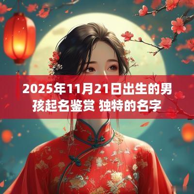 2025年11月21日出生的男孩起名鉴赏 独特的名字