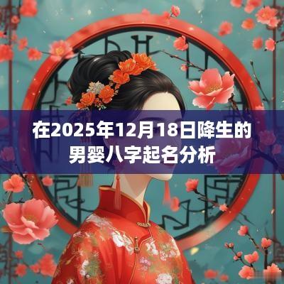 在2025年12月18日降生的男婴八字起名分析