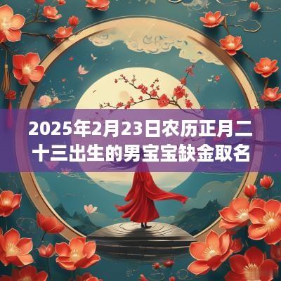 2025年2月23日农历正月二十三出生的男宝宝缺金取名 高分名字建议