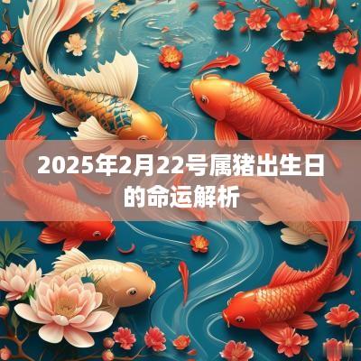 2025年2月22号属猪出生日的命运解析