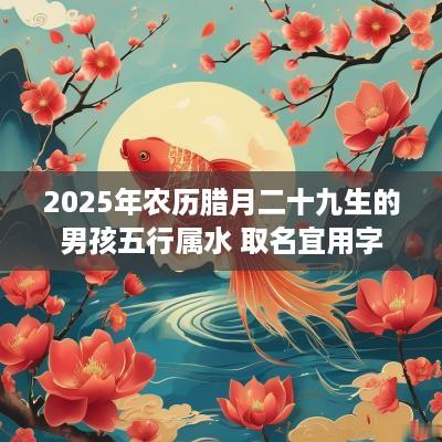 2025年农历腊月二十九生的男孩五行属水 取名宜用字