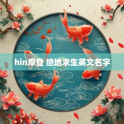 hin摩登 绝地求生英文名字