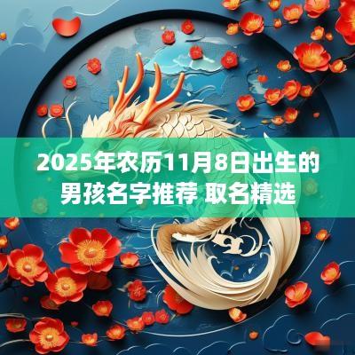 2025年农历11月8日出生的男孩名字推荐 取名精选