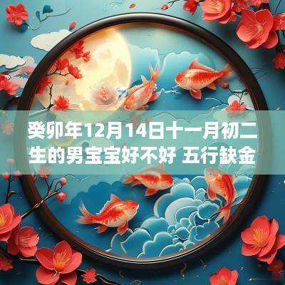 癸卯年12月14日十一月初二生的男宝宝好不好 五行缺金土取什么名