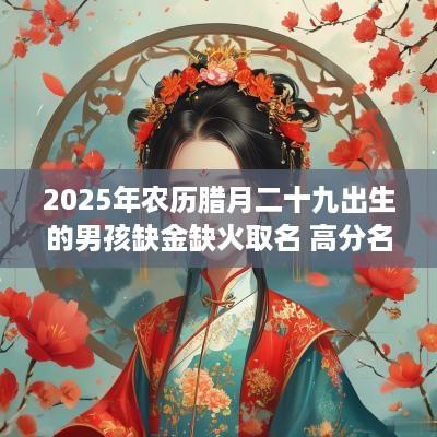 2025年农历腊月二十九出生的男孩缺金缺火取名 高分名字建议