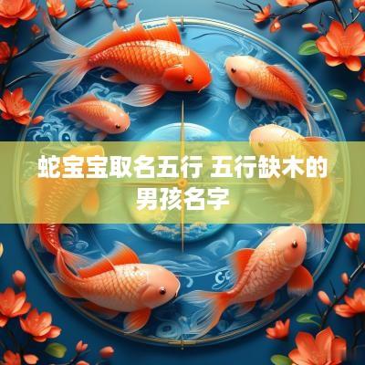 蛇宝宝取名五行 五行缺木的男孩名字
