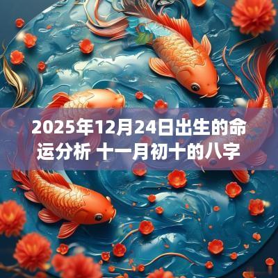 2025年12月24日出生的命运分析 十一月初十的八字