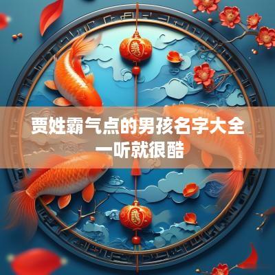 贾姓霸气点的男孩名字大全 一听就很酷