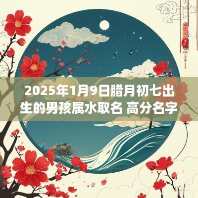 2025年1月9日腊月初七出生的男孩属水取名 高分名字建议