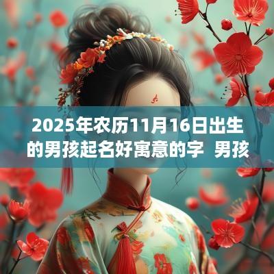 2025年农历11月16日出生的男孩起名好寓意的字  男孩名字精选推荐