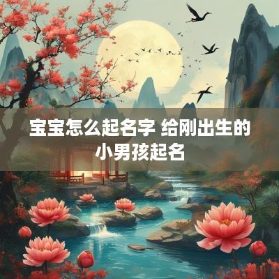 宝宝怎么起名字 给刚出生的小男孩起名